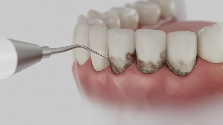 Reliable Dental contractor in Herald Harbor, MD by Dentist Open Now
